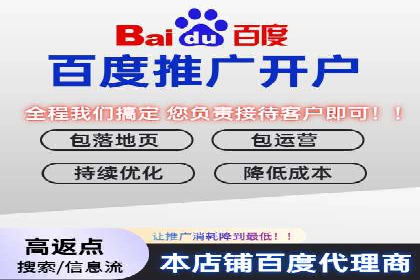 百度SEO优化公司案例：打造品牌网络曝光新高度